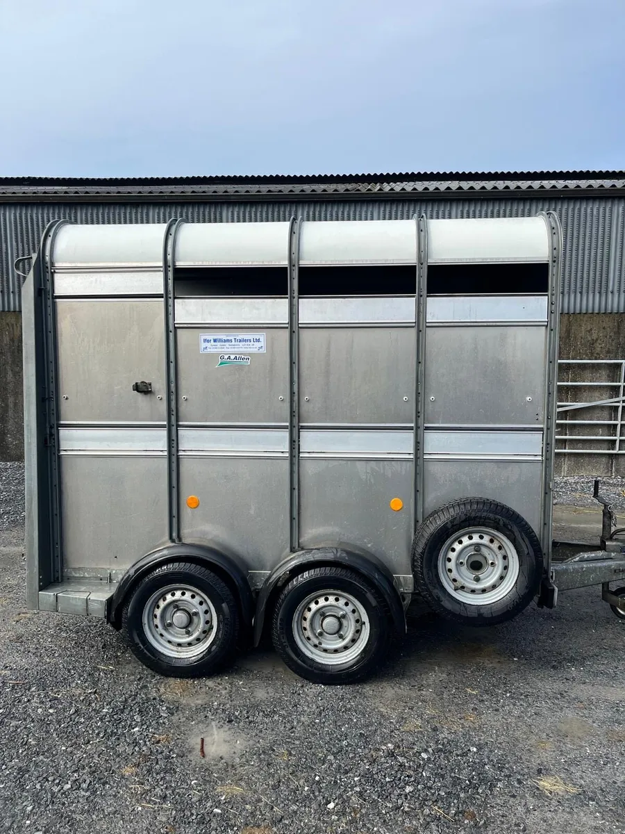 Cattle box - Image 4