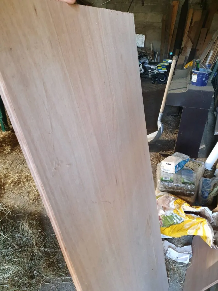 Sheets of ply - Image 2