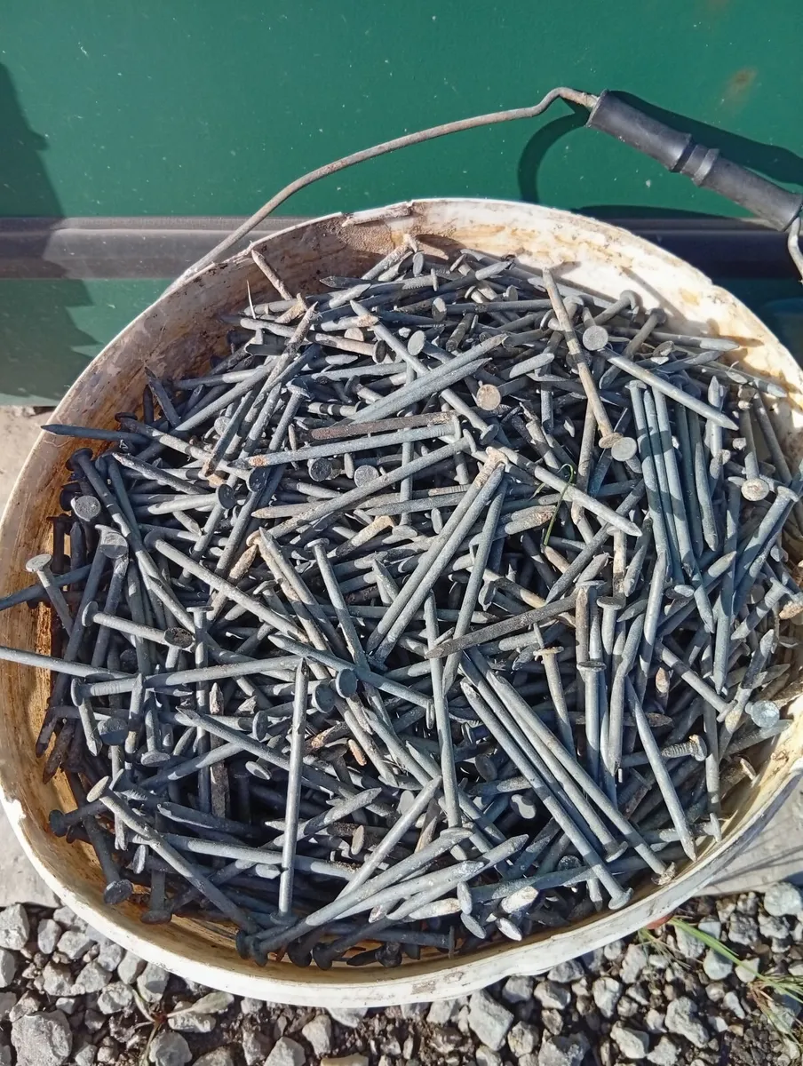 New Galvanised Rust Resistant Building Nails - Image 2