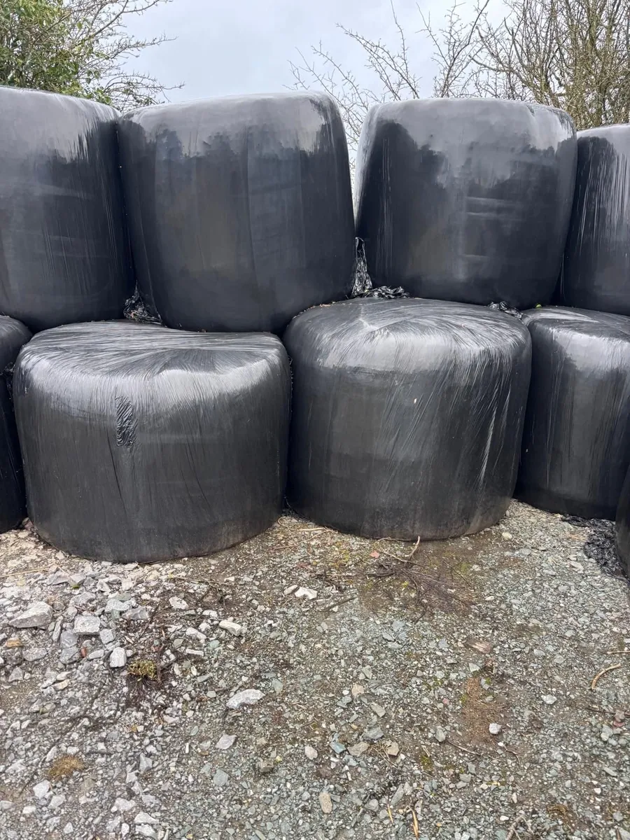 Silage Bales - Image 1
