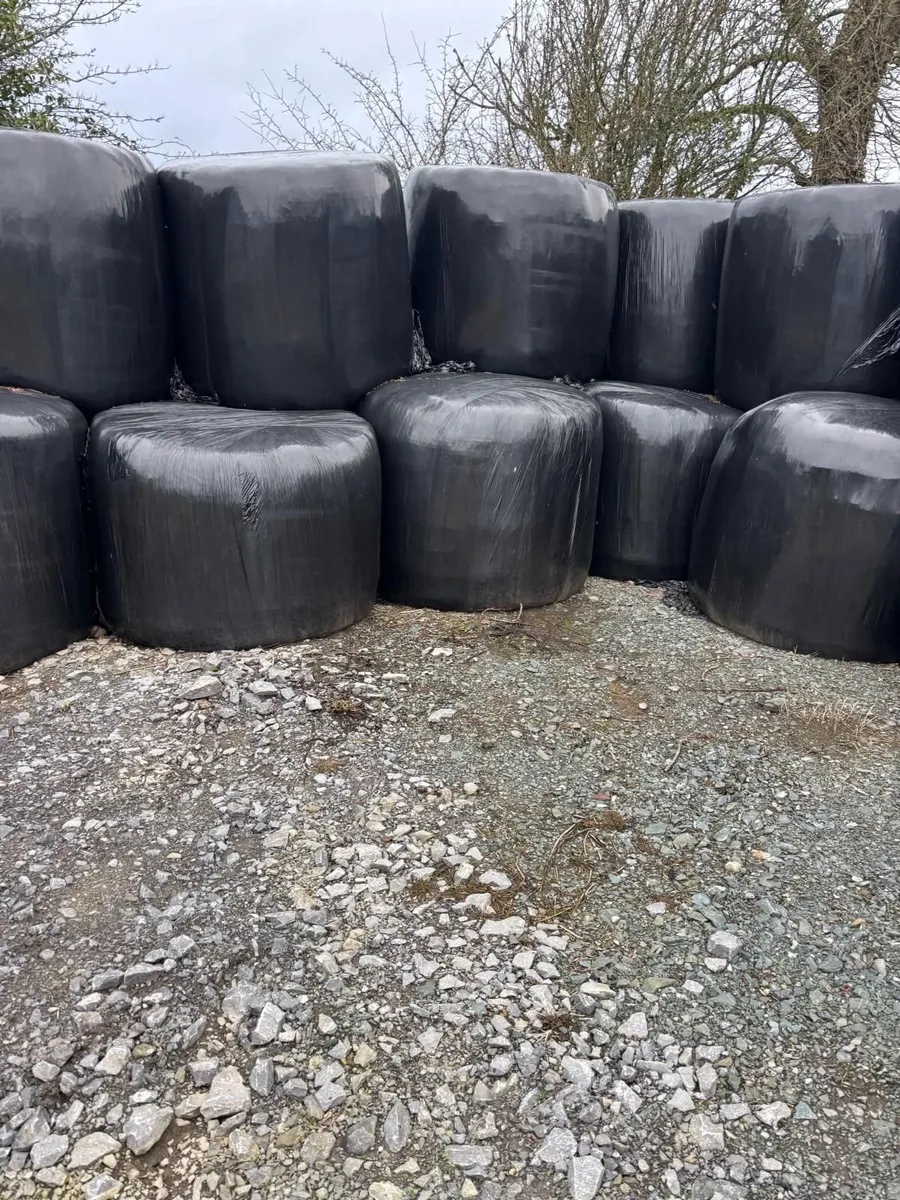 Silage Bales - Image 4