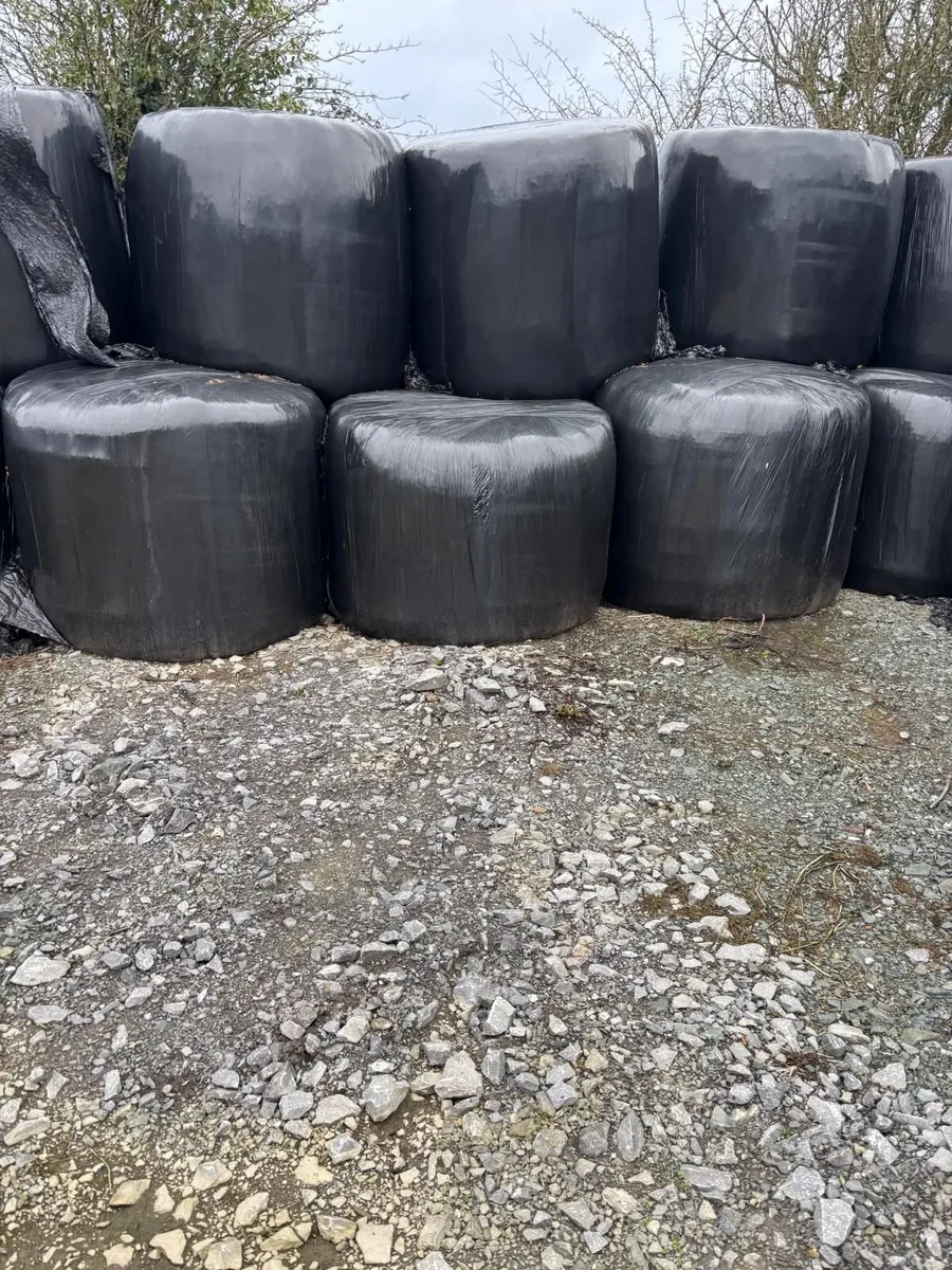 Silage Bales - Image 3