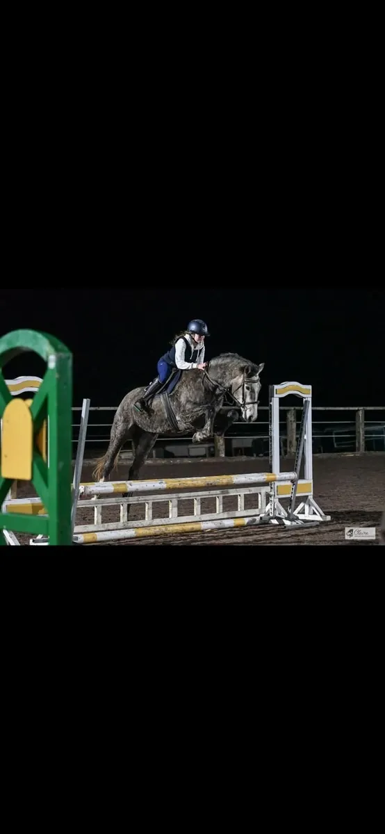 6 yr old ID mare - Image 1