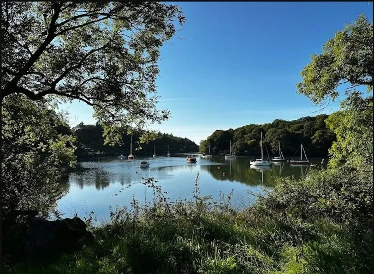 Mooring for sale (Drake's Pool) - Image 2