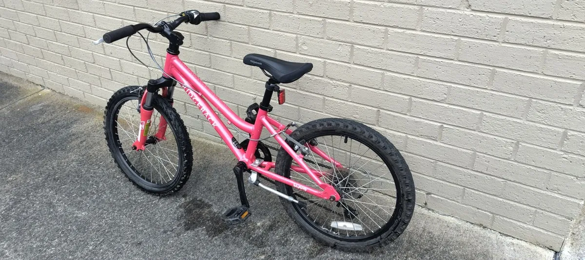 Ridgeback Harmony M3010 - 20 Inch wheel Bicycle - Image 2