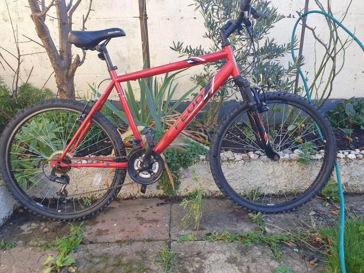 Boys bike ,adult bike