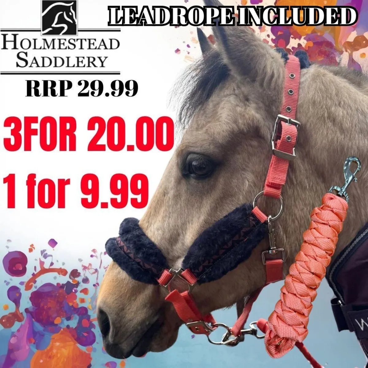 HEADCOLLAR & LEADS €9.99 or 3 for €20