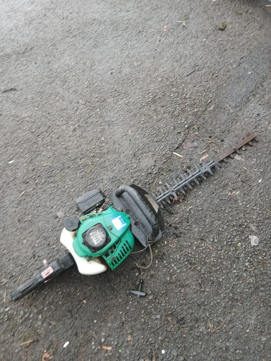 All for seal 40e each read about adf priced - Image 4