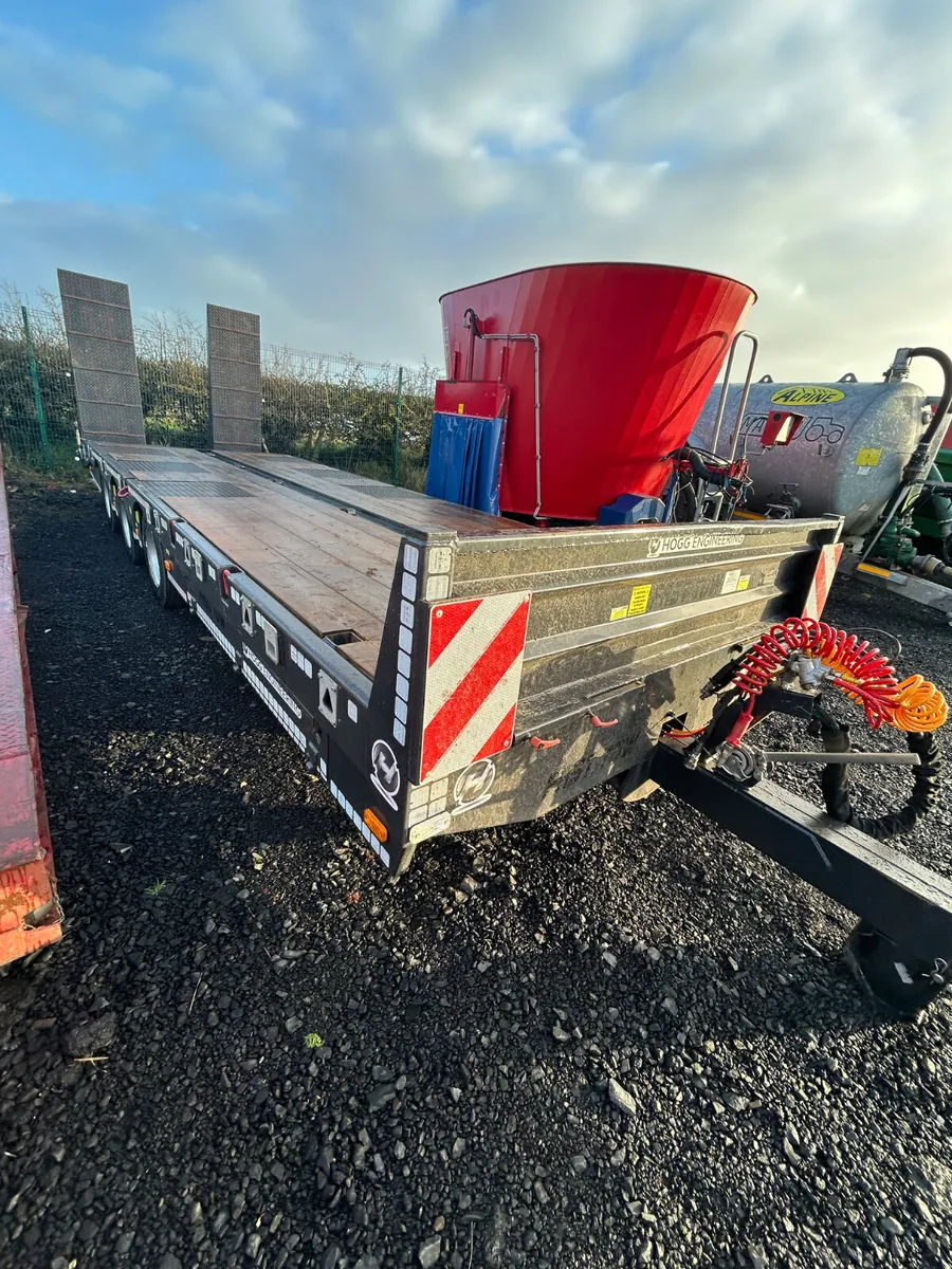 2025 33ton hogg Lowloader - Image 1