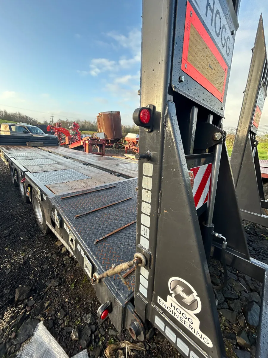 2025 33ton hogg Lowloader - Image 4