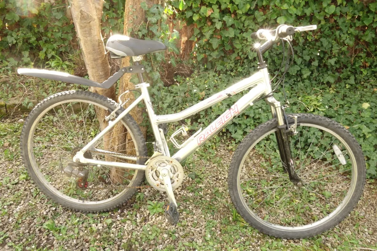 Kids Silver Raleigh mountain bike - Image 2