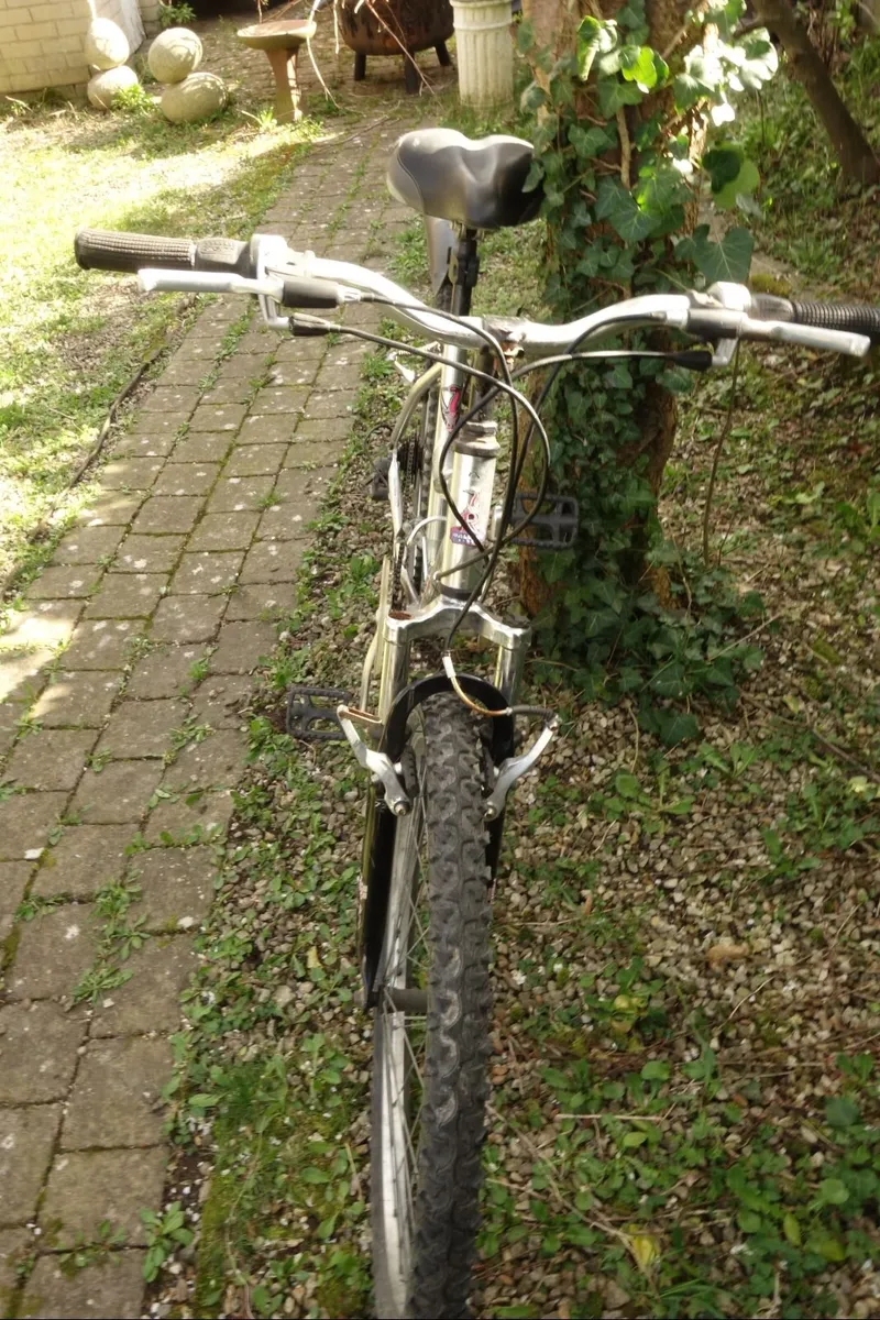 Kids Silver Raleigh mountain bike - Image 4