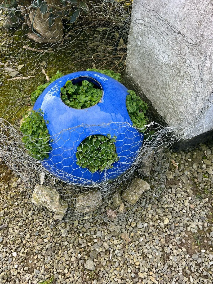 Flower Pots Ceramic - Image 2
