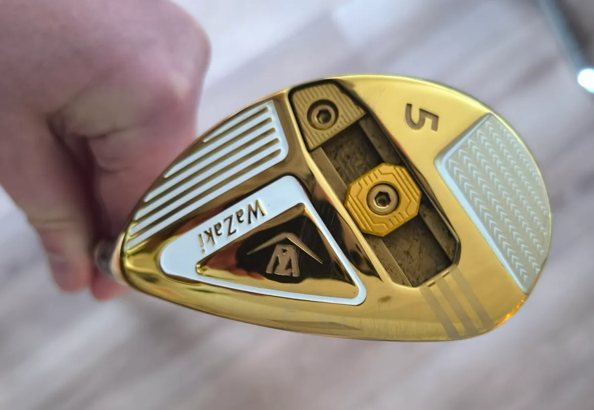 Wazaki 5 hybrid - Image 1