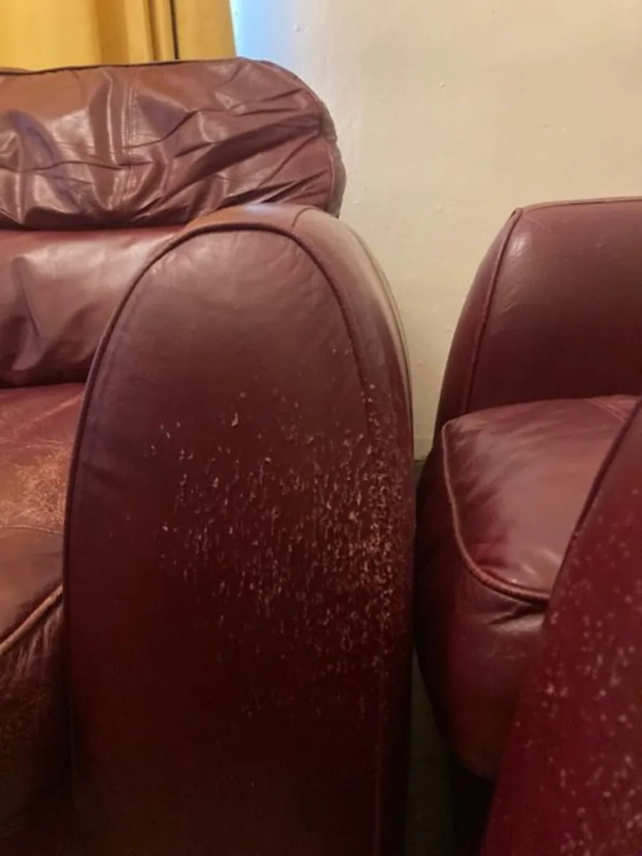 2 +1 couch and armchair - Image 2