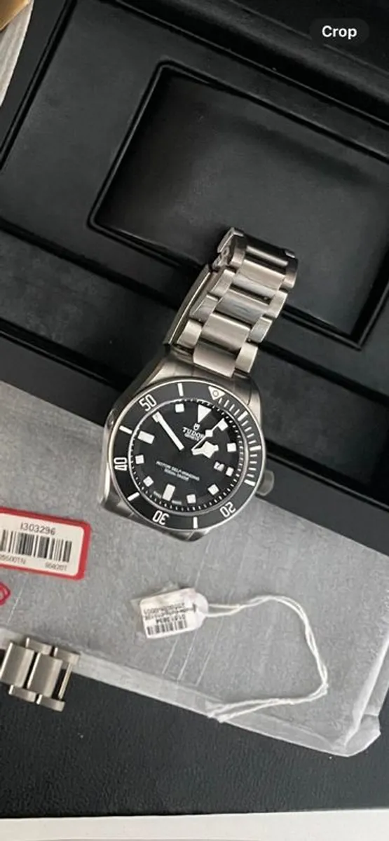 Tudor Pelagos - Image 2