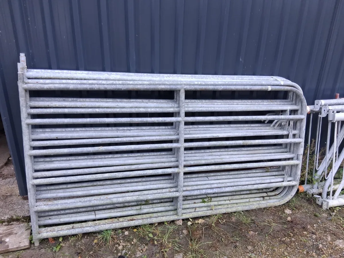 Feeding barriers/Gates/calving gates - Image 2