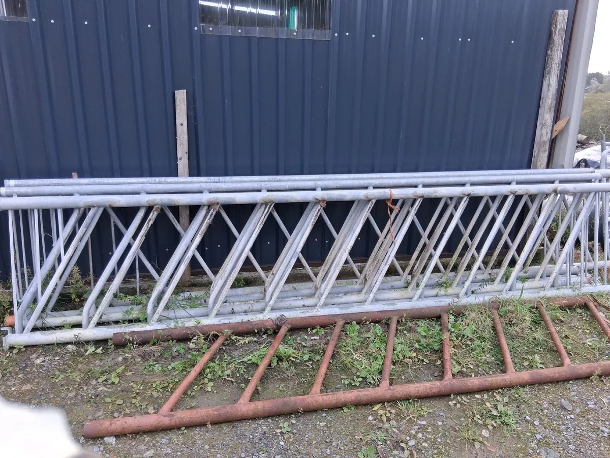 Feeding barriers/Gates/calving gates - Image 1