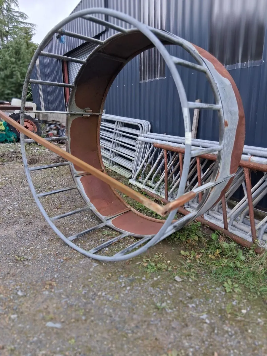 Feeding barriers/Gates/calving gates - Image 3