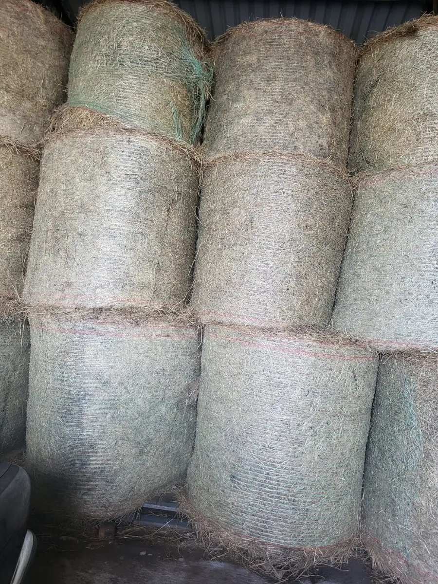 HAY FOR SALE