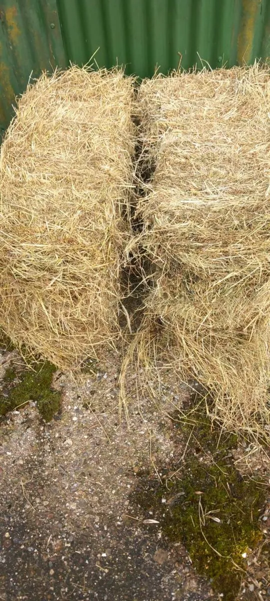 Small square bales - Image 2