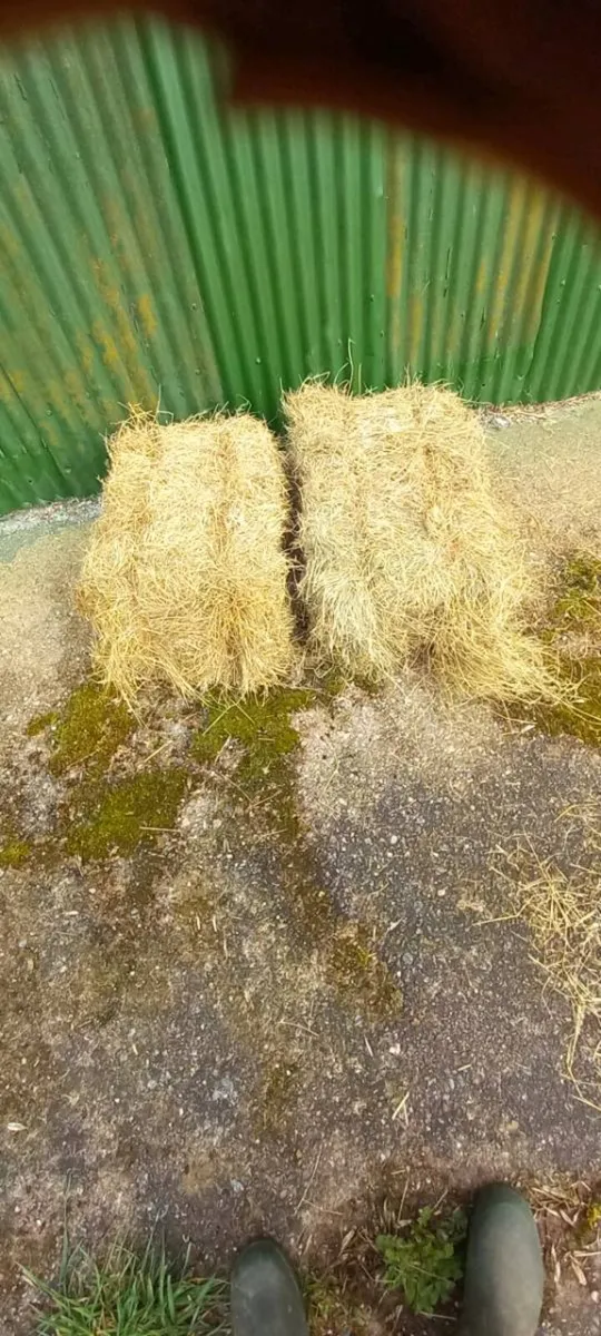 Small square bales - Image 1