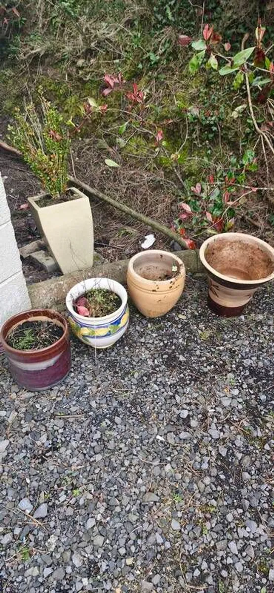 furniture settee, dresser, bedroom dresser with mirror, lamps, TV unit, cream king-size bed and single bed. - Image 4