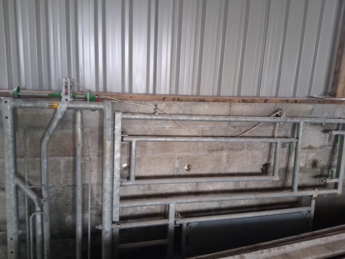 Feeding barriers/Gates/calving gates - Image 4