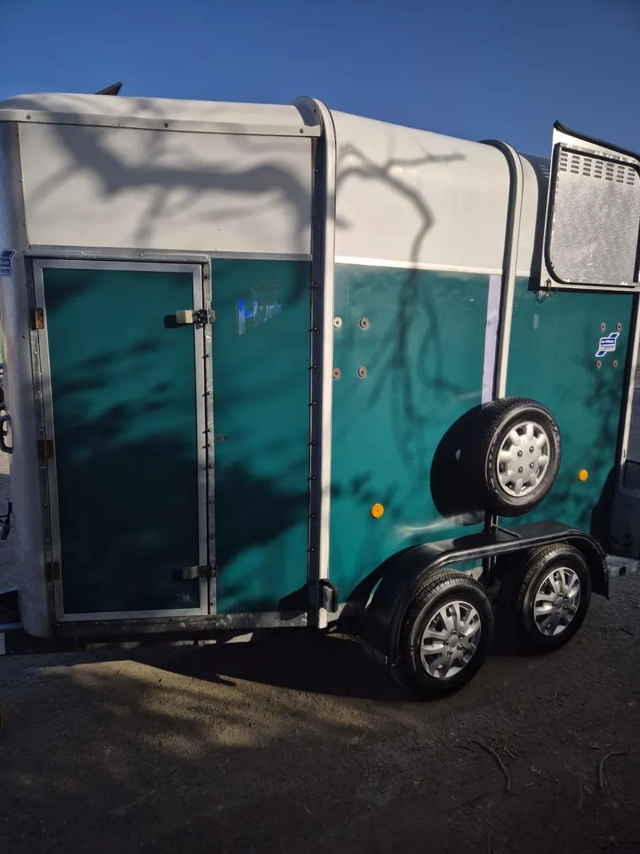 Ifor Williams 505 horsebox - Image 4