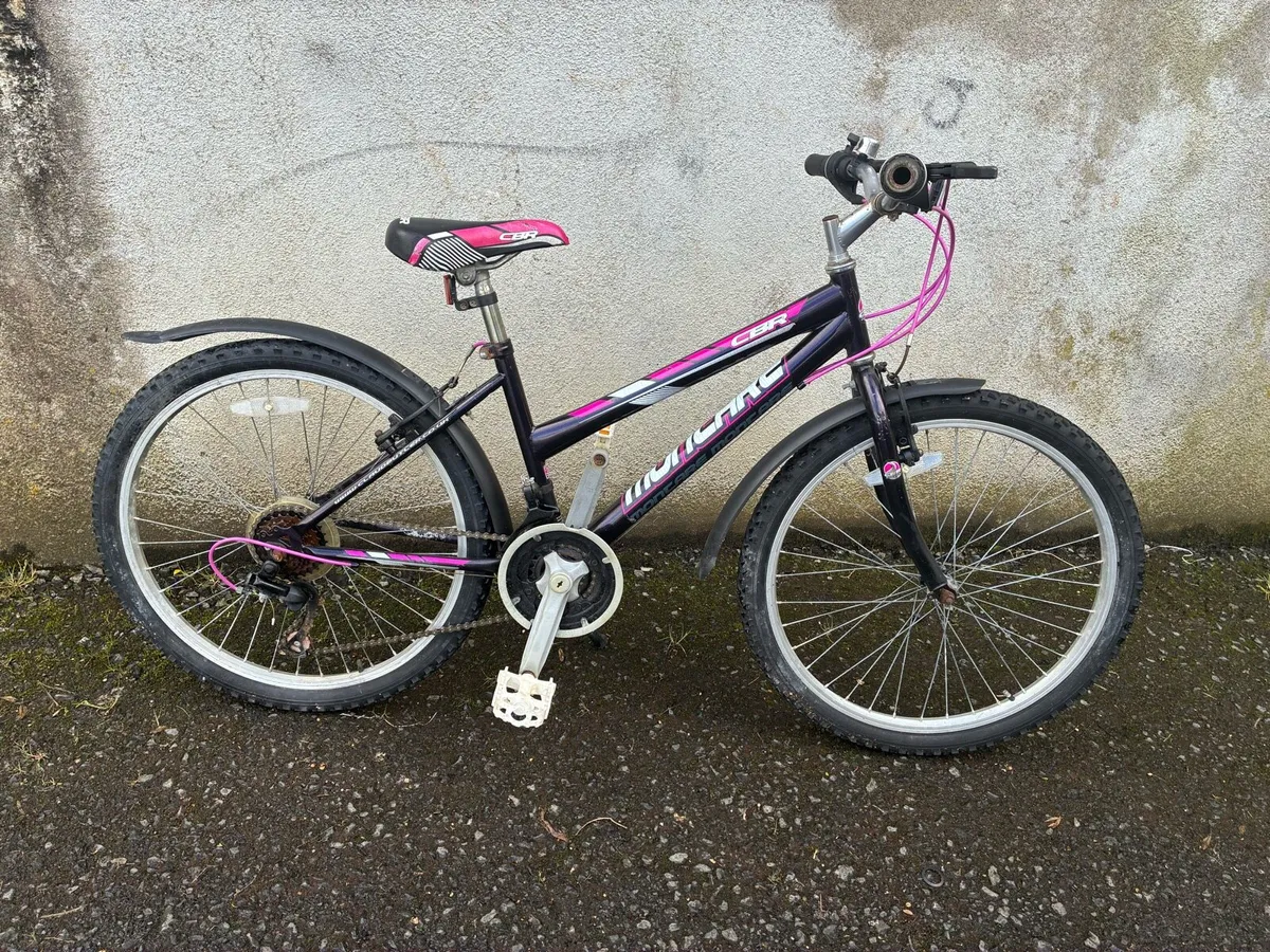 Girls mountain bike - Image 1