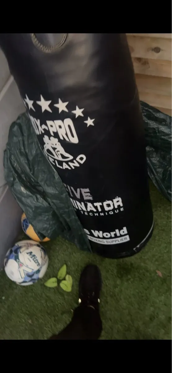 Professional boxing bag an gloves - Image 3