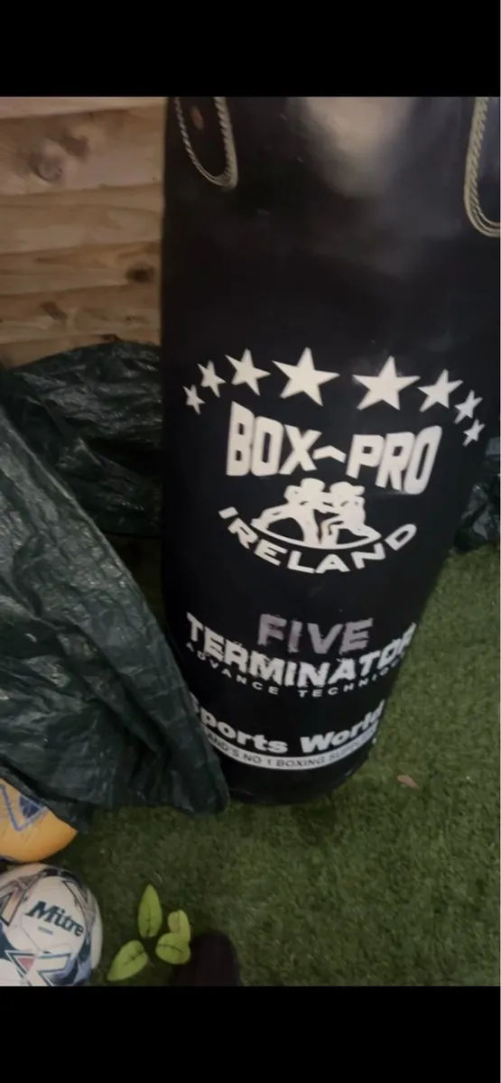 Professional boxing bag an gloves - Image 4