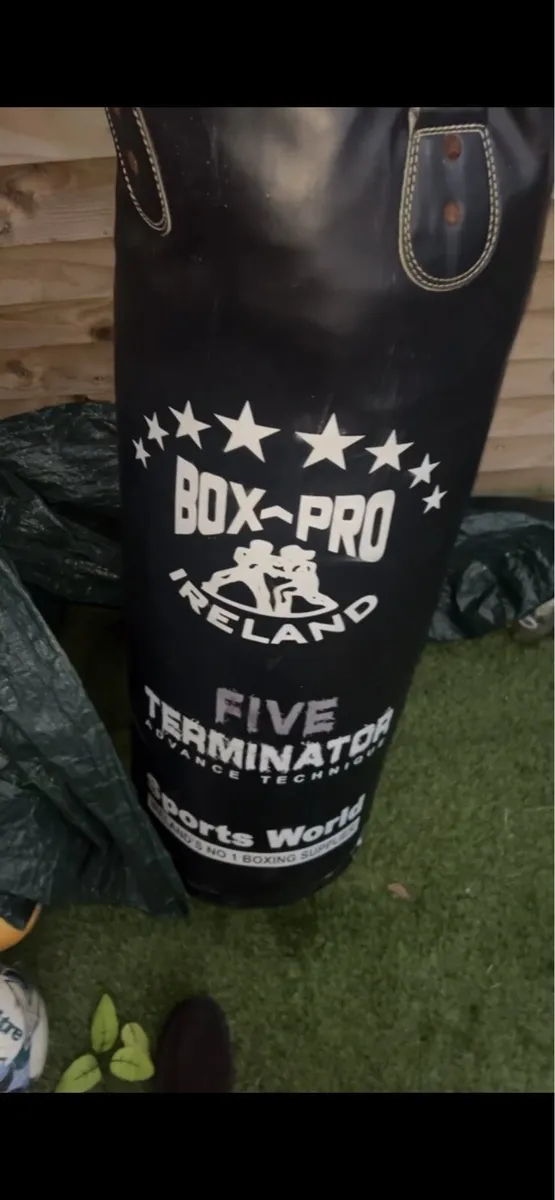 Professional boxing bag an gloves - Image 2