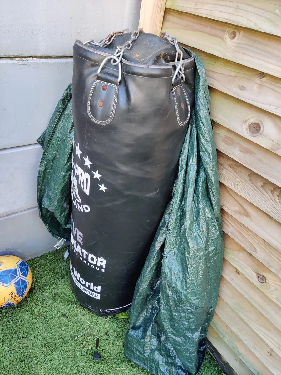 Professional boxing bag an gloves - Image 1