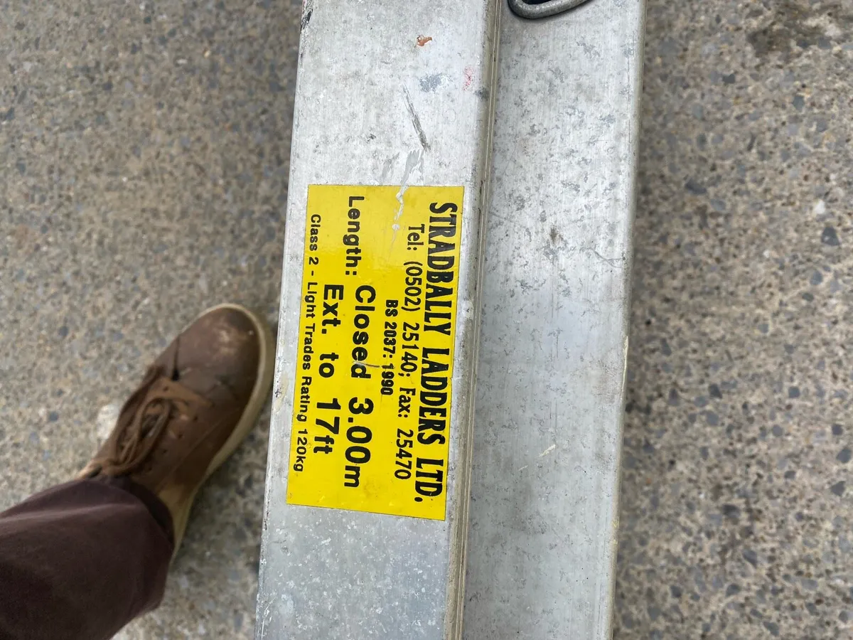 Extension Ladders - Image 2