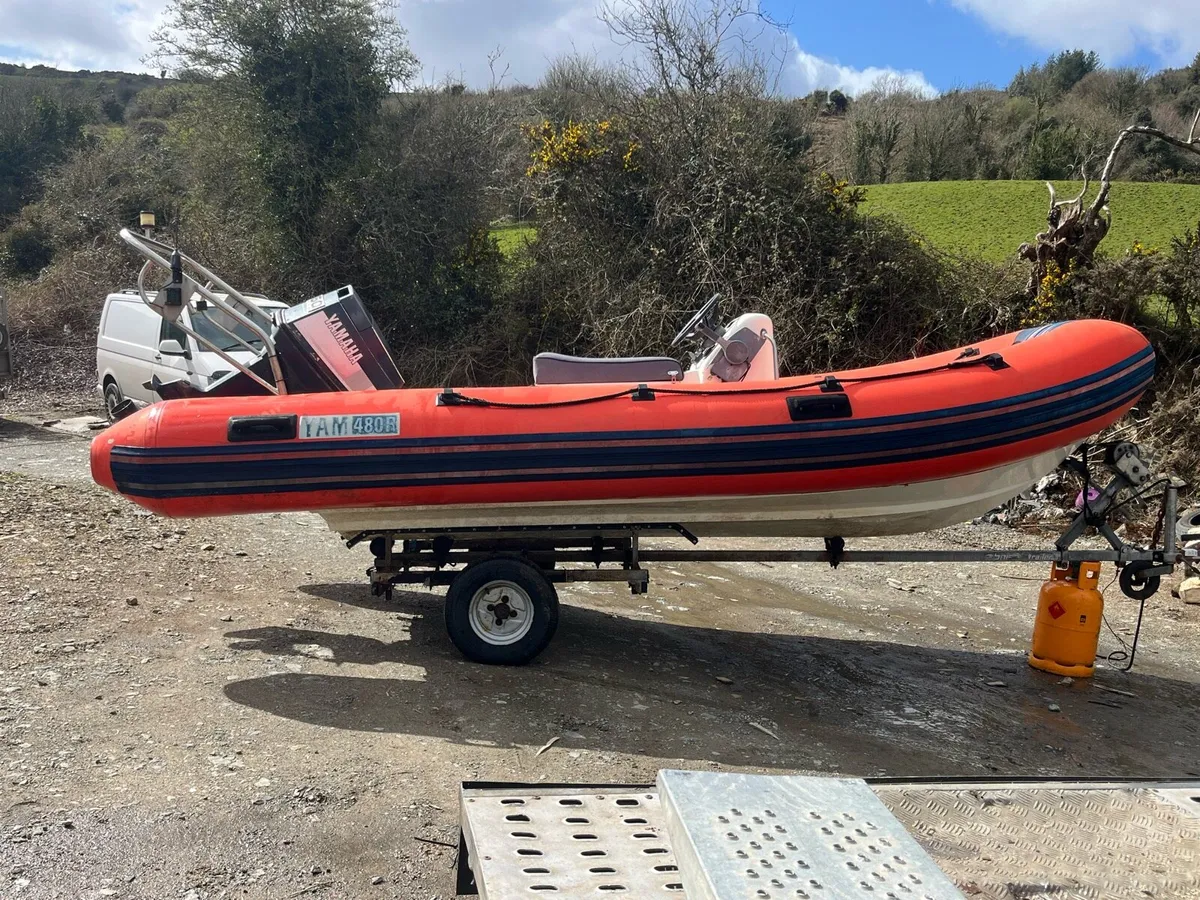 Yamaha rib - Image 3