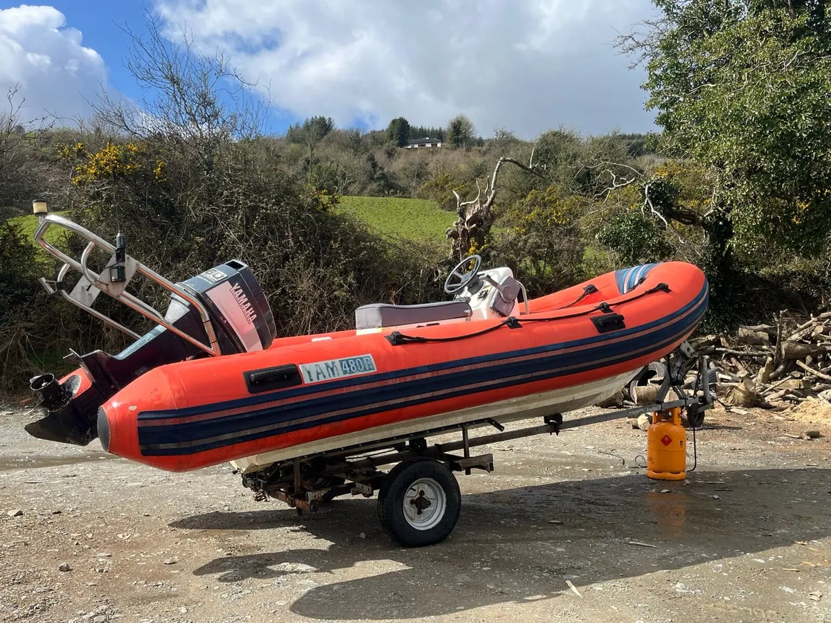 Yamaha rib - Image 2