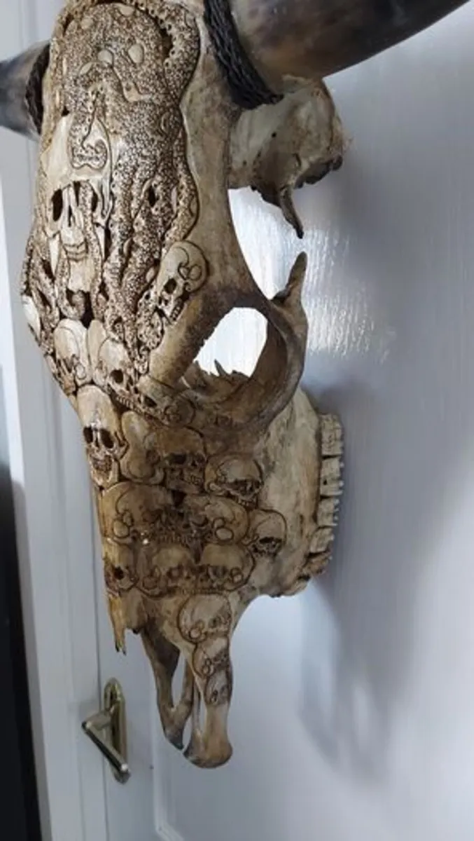 Carved Brown Bull Skull - Image 2