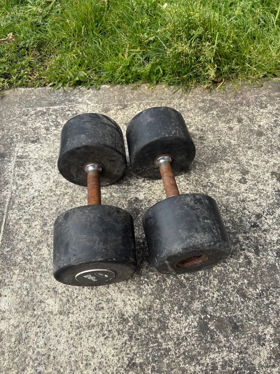 Weights - Image 1