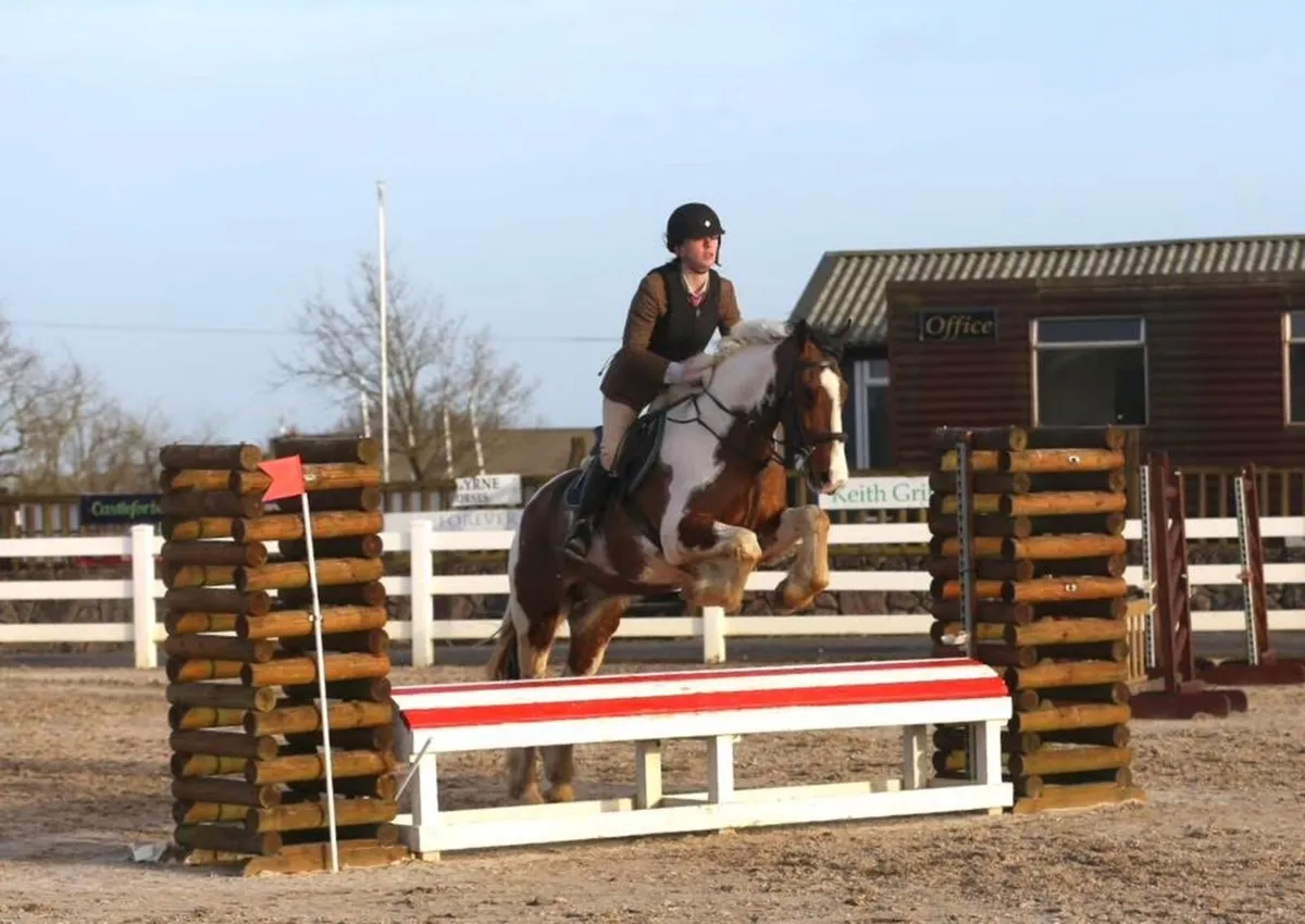 Fun safe Allrounder for all levels - Image 1