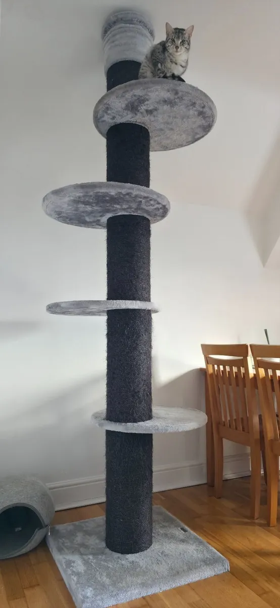 XXL grey blackline cat tree - Image 2