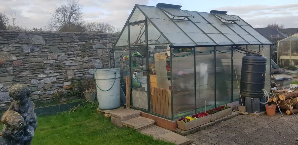 Glasshouse/ Greenhouse For Sale - Image 2
