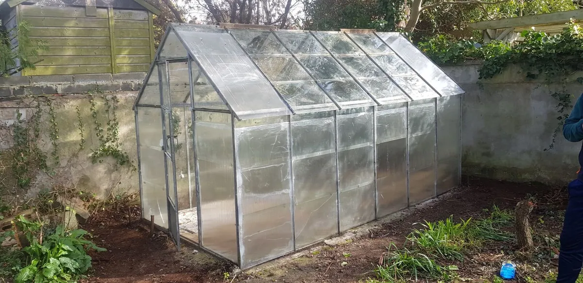 Glasshouse/ Greenhouse For Sale - Image 4