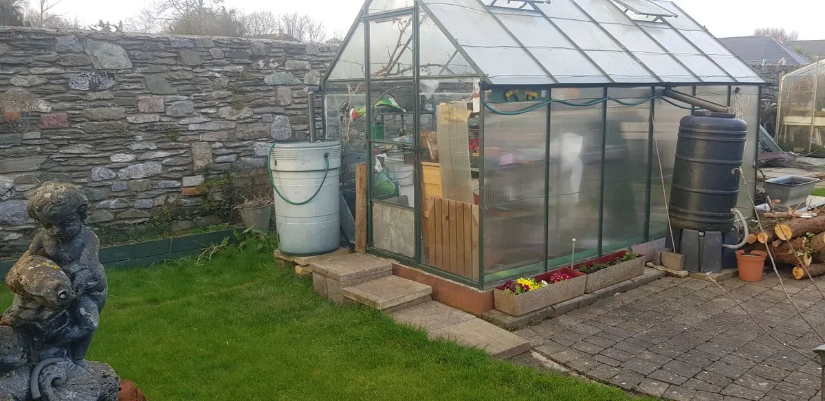 Glasshouse/ Greenhouse For Sale - Image 1