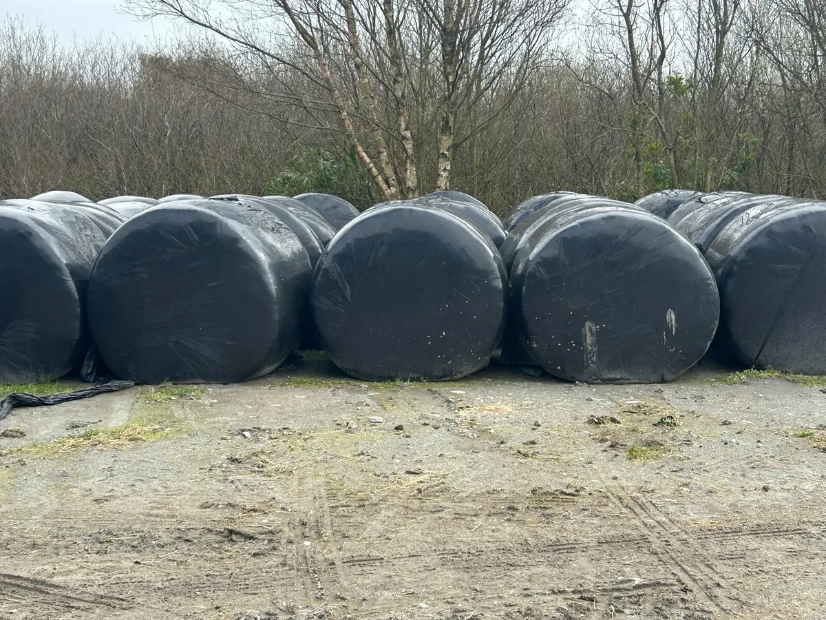 Silage bales - Image 2