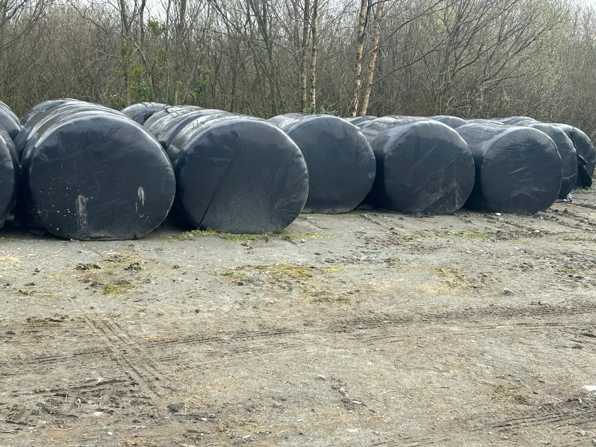 Silage bales - Image 1