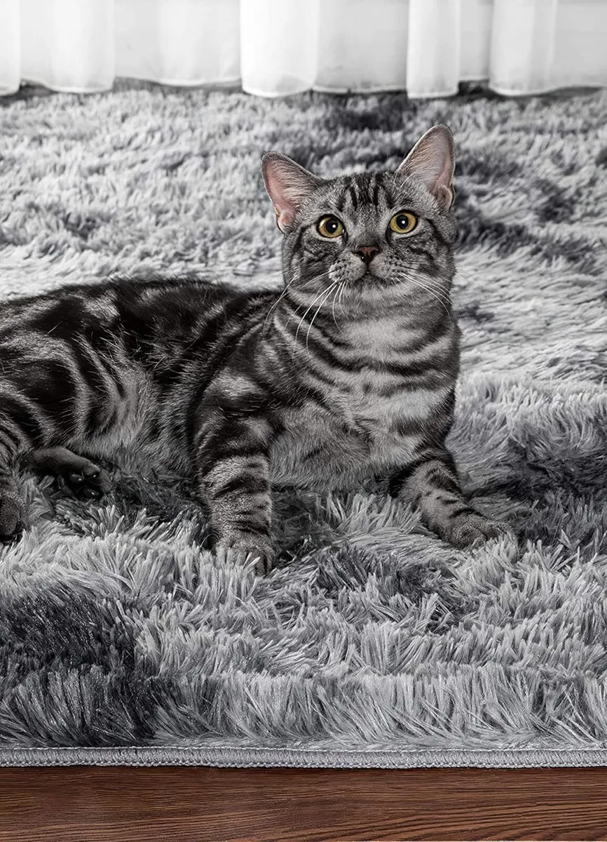 Fluffy Living Room Rug Large Size Modern Girls - Image 2