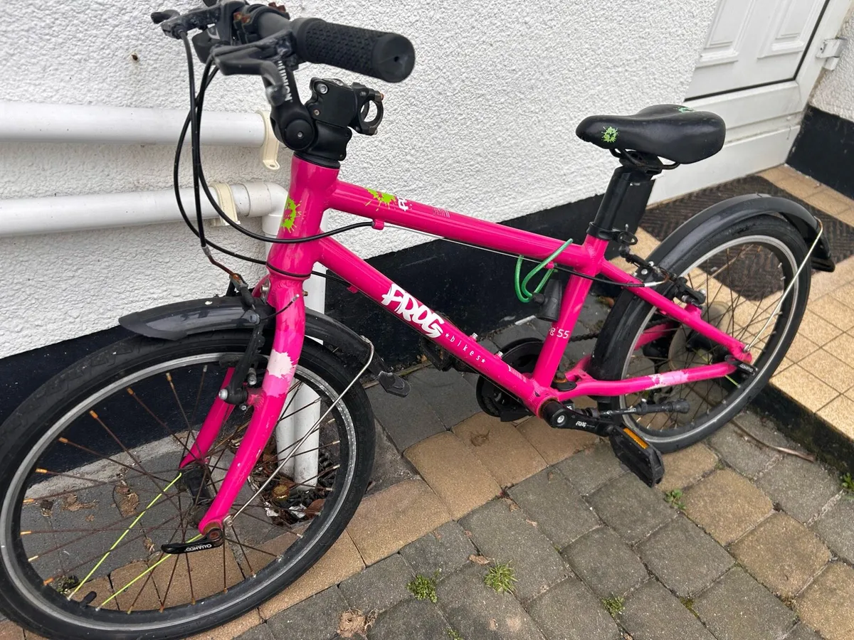 Kids Frog 55’ - Image 1