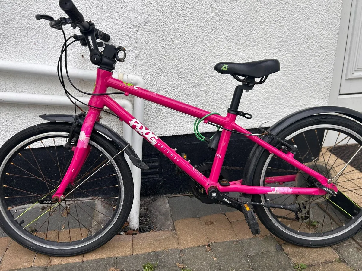 Kids Frog 55’ - Image 2