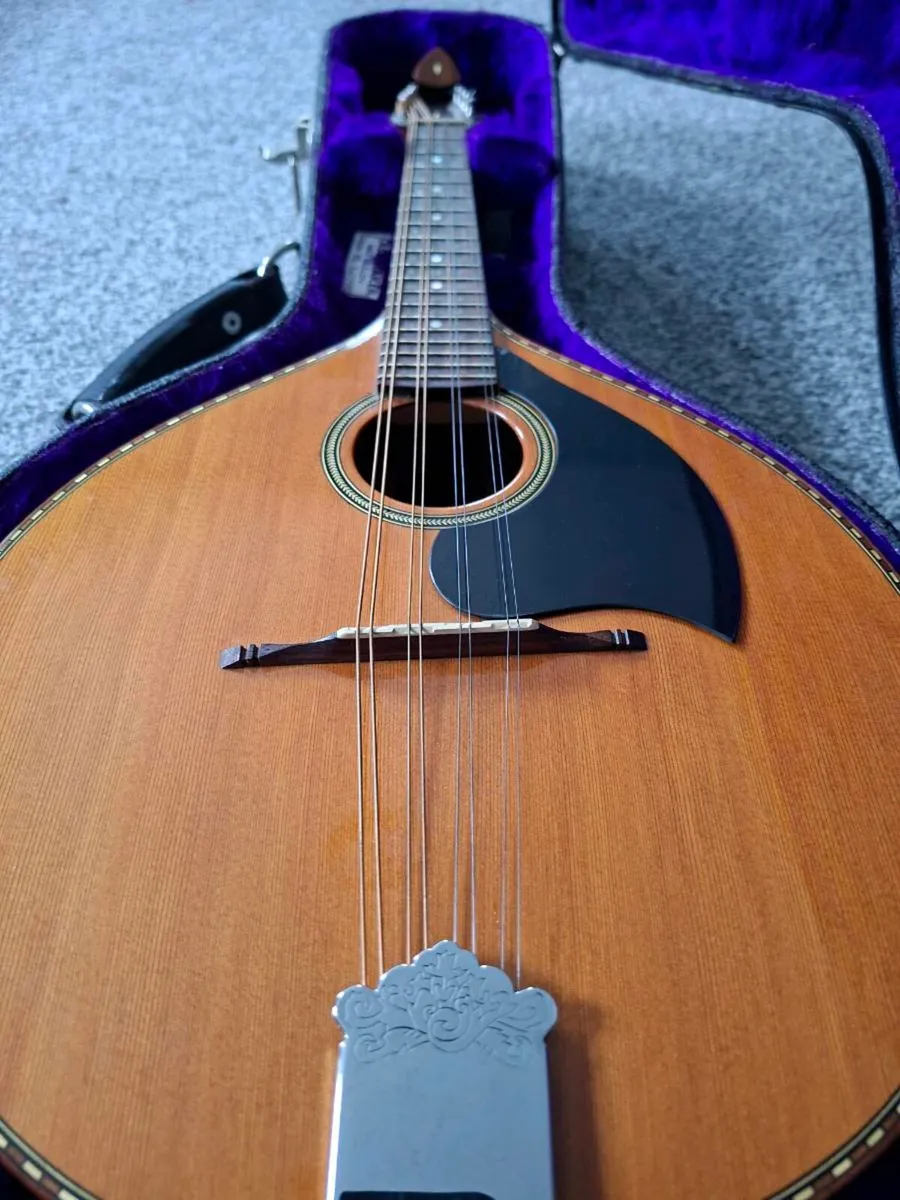 Joe Foley Mandolin - Image 3